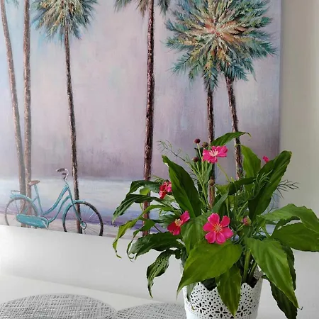 Mm دوبروفينك